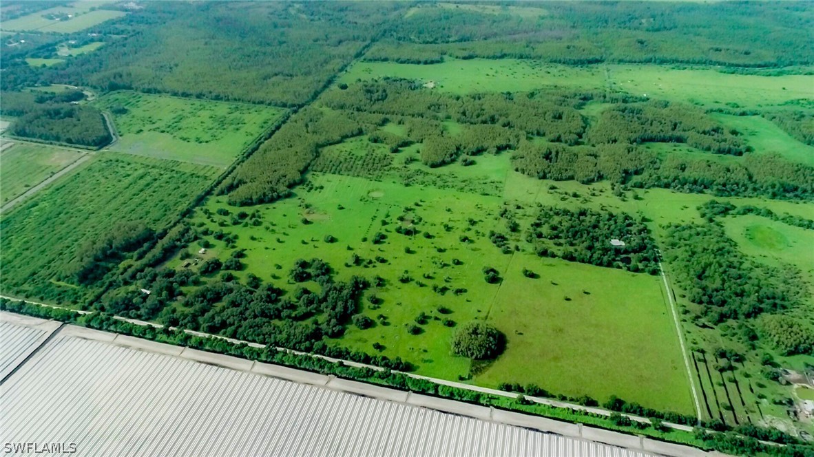 1600-1800 G Road LaBelle, FL 33935 - Photo 3 of 10 a view of a garden