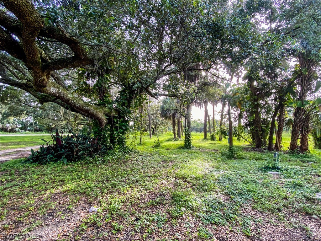 1600-1800 G Road LaBelle, FL 33935 - Photo 6 of 10 a view of a trees with a yard