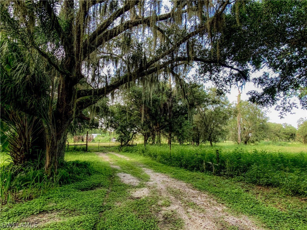1600-1800 G Road LaBelle, FL 33935 - Photo 7 of 10 a view of a park with a tree
