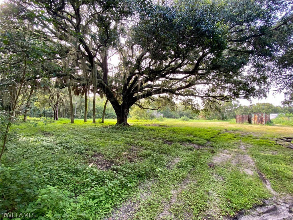 1600-1800 G Road LaBelle, FL 33935 - Photo 8 of 10 a view of yard with trees