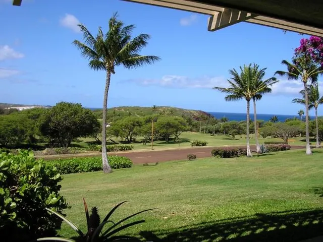 $37,500 | 50 Kepuhi Place, Unit 116, Maunaloa, HI 96770