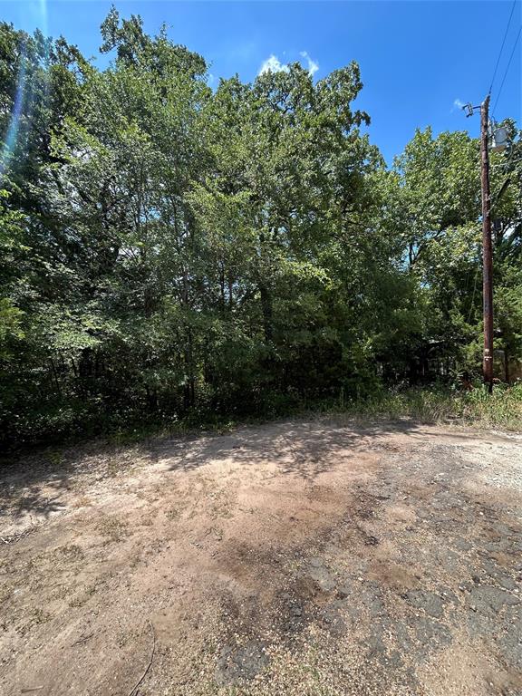 0 Oxford Road Mabank, TX 75156 - Photo 4 of 5
