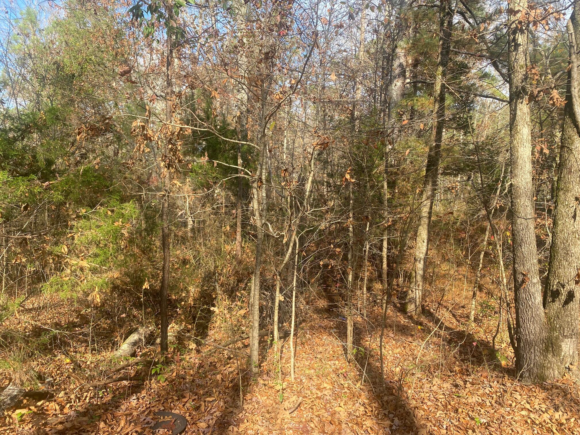 11305 Blair Road Apison, TN 37302 - Photo 3 of 5 Land