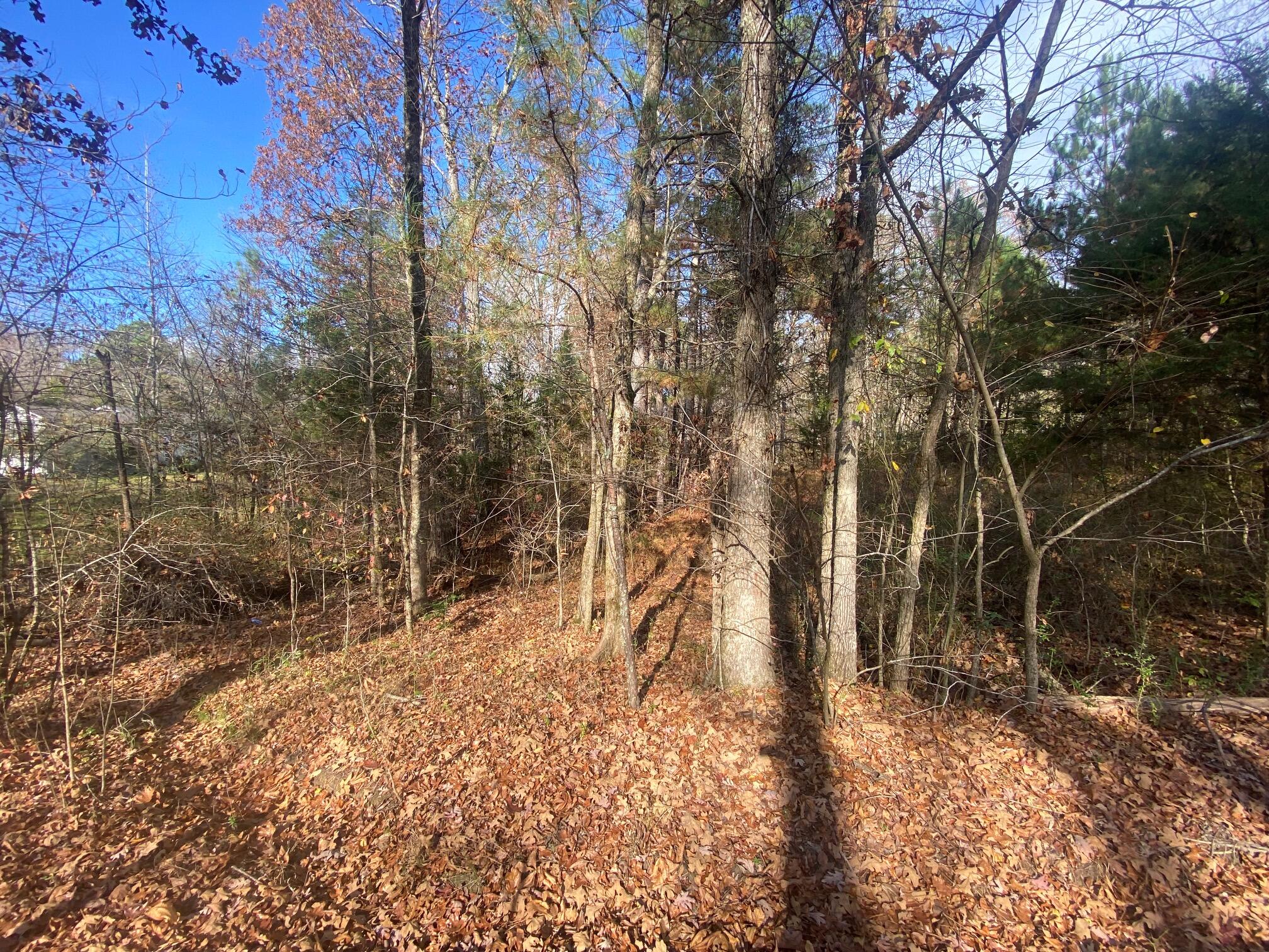 11305 Blair Road Apison, TN 37302 - Photo 4 of 5 Land