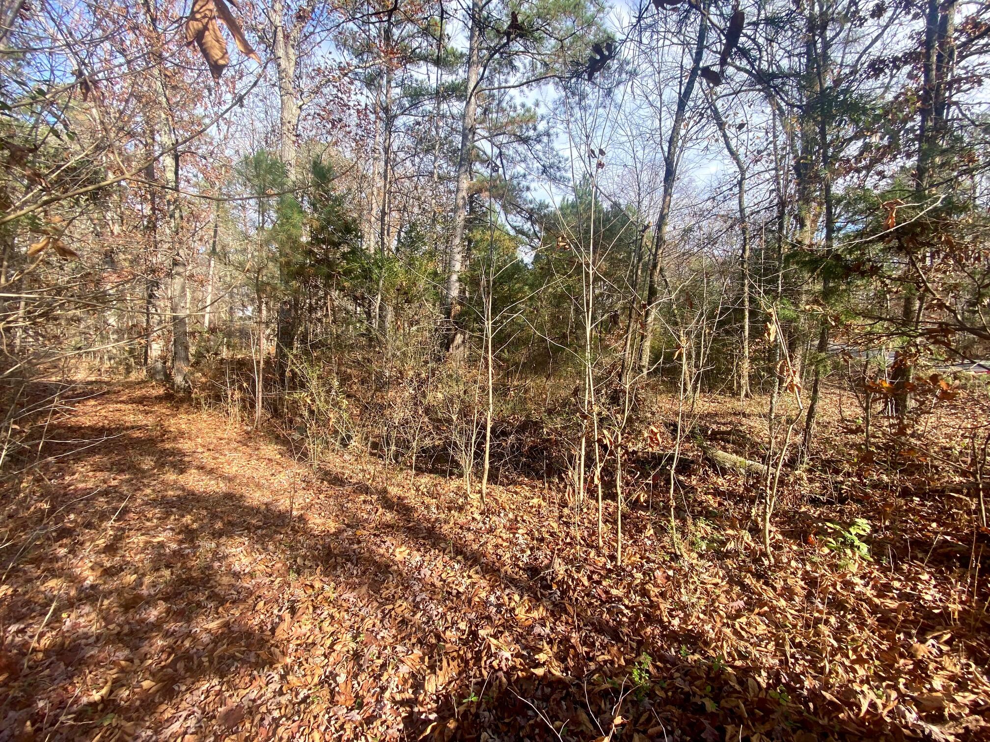 11305 Blair Road Apison, TN 37302 - Photo 5 of 5 Land