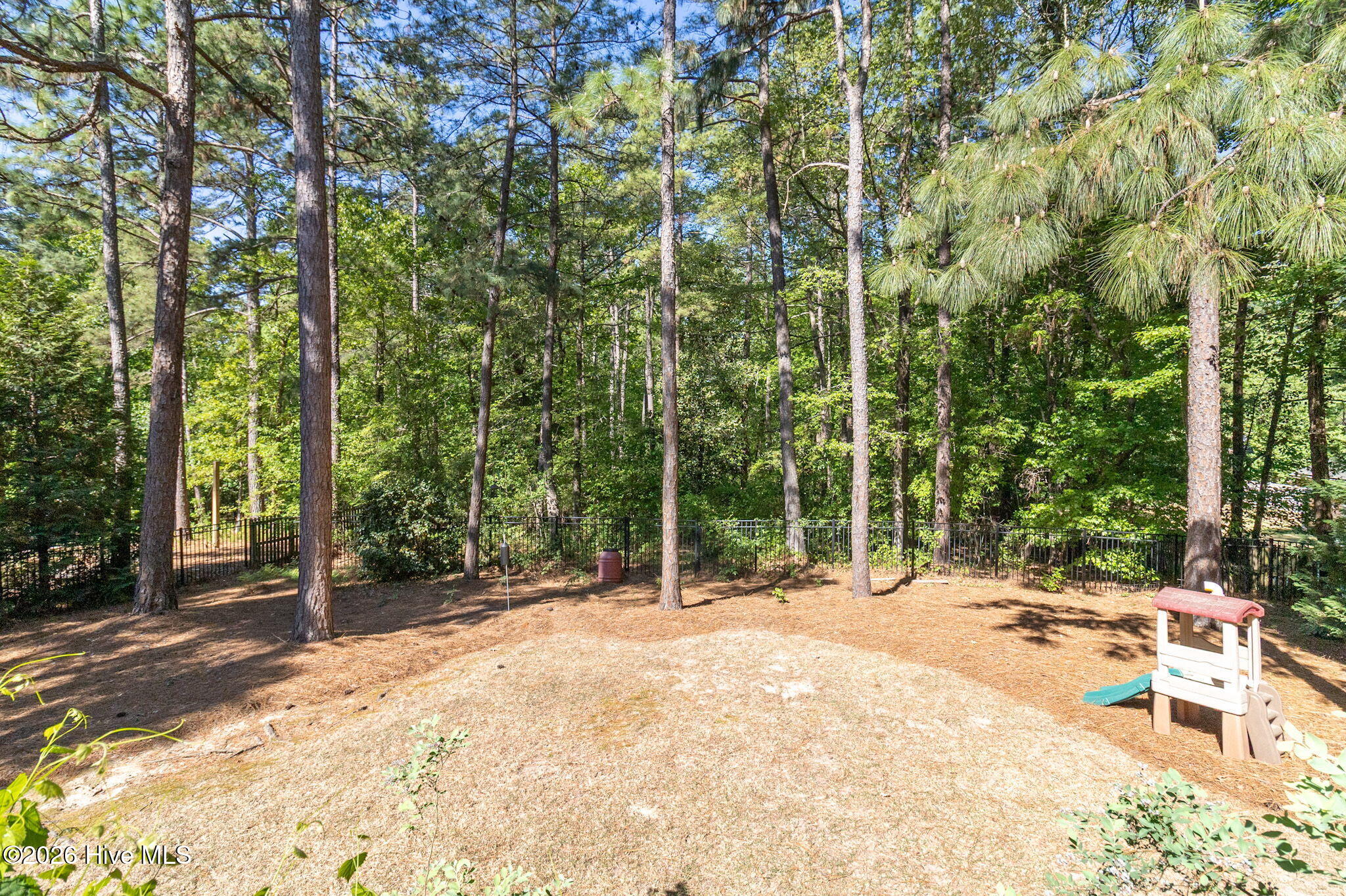420 Elk Road Southern Pines, NC 28387 - Photo 30 of 30 Backyard