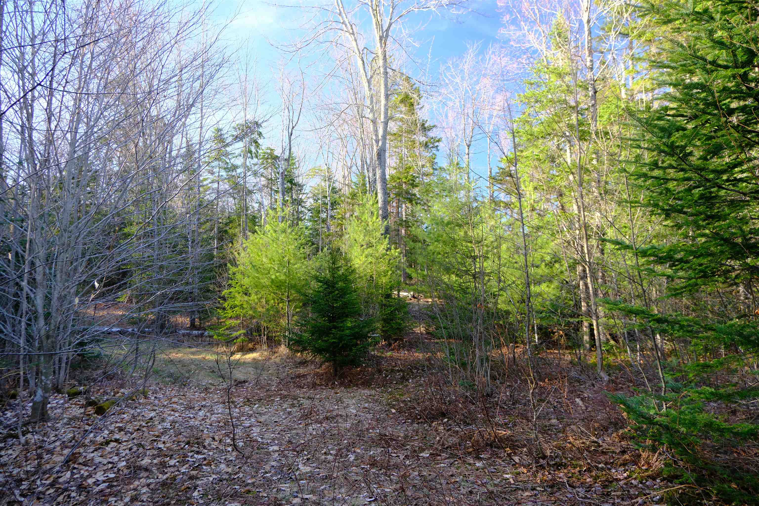 208 Drake Pl Road Sheffield, VT 05866 - Photo 5 of 27