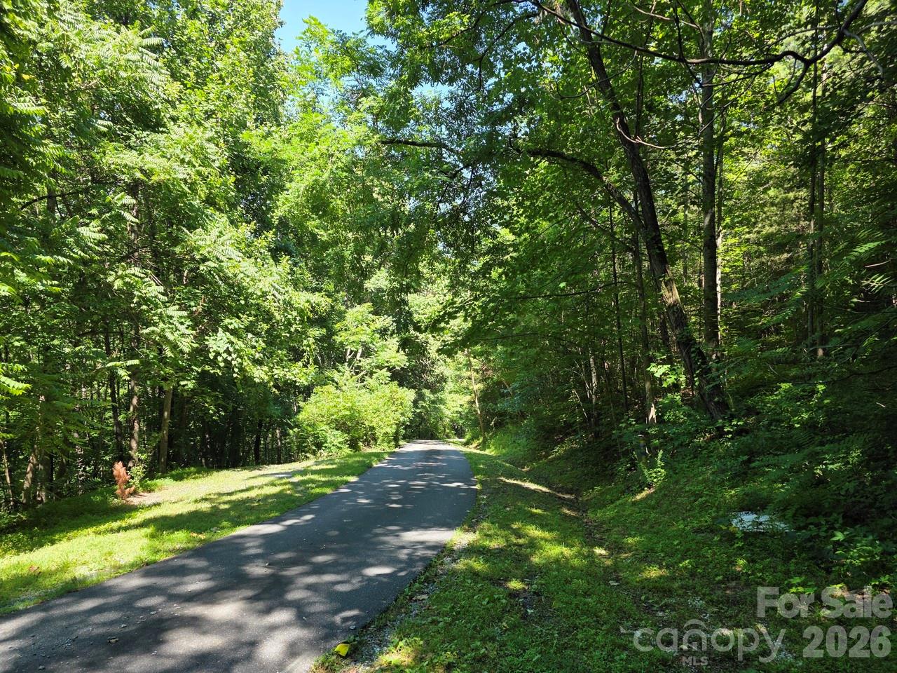 Lot 45 South S View Marion, NC 28752 - Photo 3 of 10