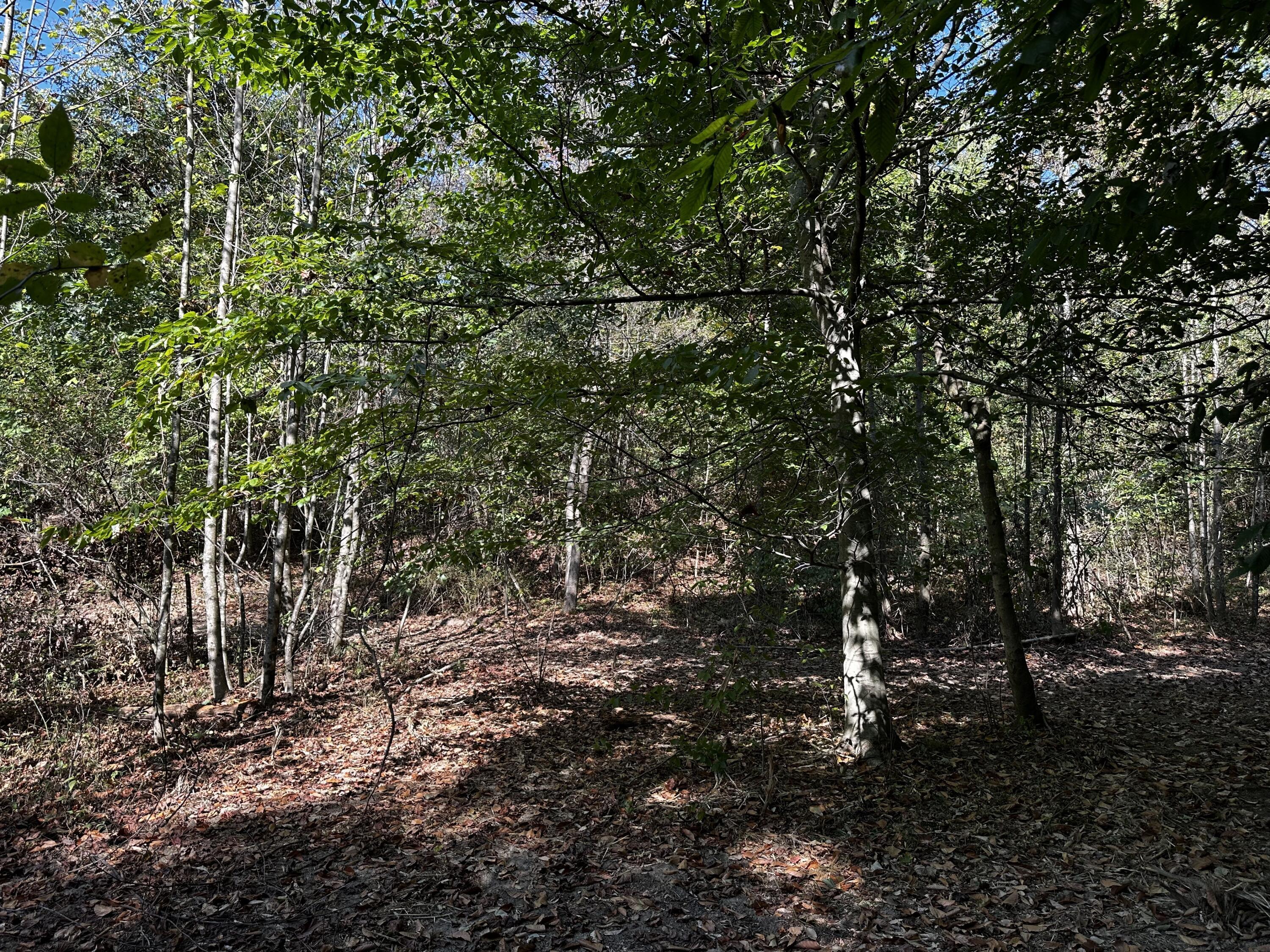 0 Dutch Ridge Road, Unit TRACT 5 AT DUTCH RIDGE) New Straitsville, OH 43766 - Photo 40 of 49 20240920_150623140_iOS