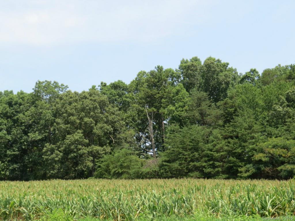 2-ac Mountain View Road Statesville, NC 28625 - Photo 7 of 24 Gallery Image 7