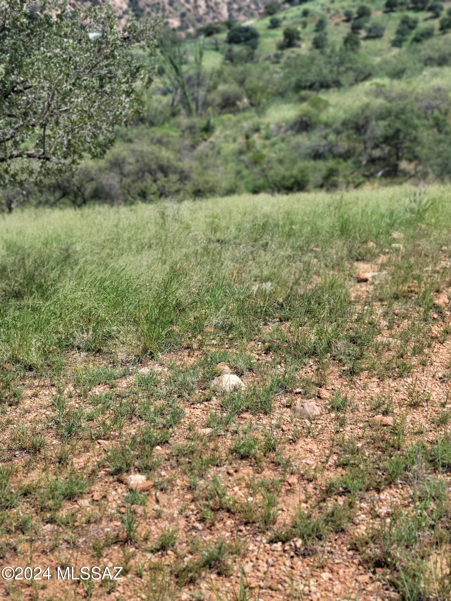 Tbd North Hannon Ranch Lane Bisbee, AZ 85603 - Photo 5 of 12