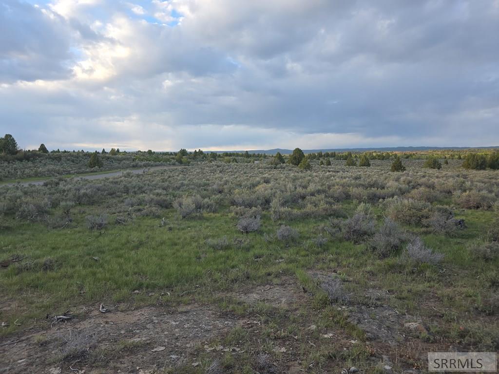 Tbd 40-ac Tbd 40-ac Arcadia Road Ashton, ID 83420 - Photo 27 of 43