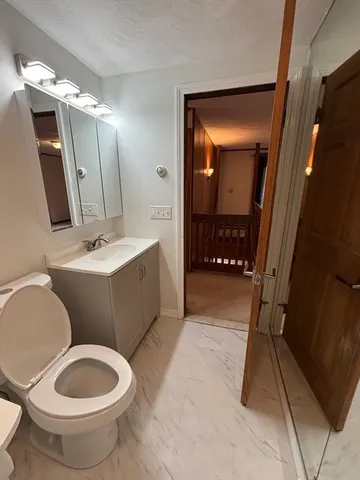 a bathroom with a toilet a sink a mirror and vanity