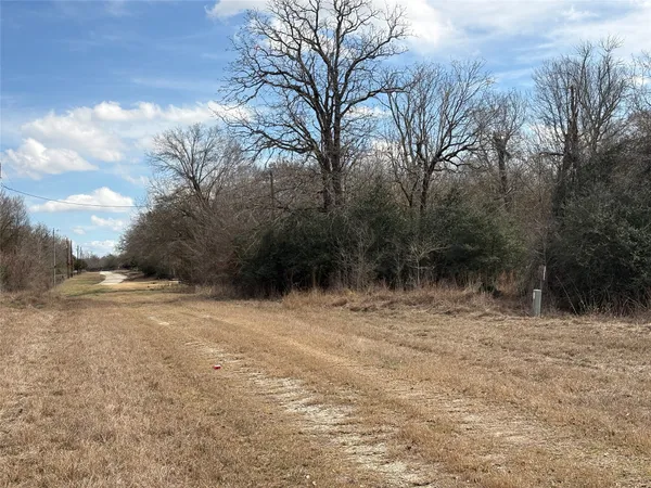 a view of dirt yard with a large tree