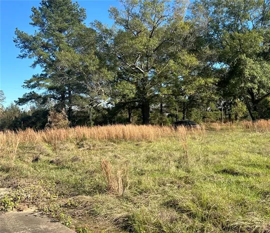 $40,000 | 0 North Goodwill Street, Goldonna, LA 71031