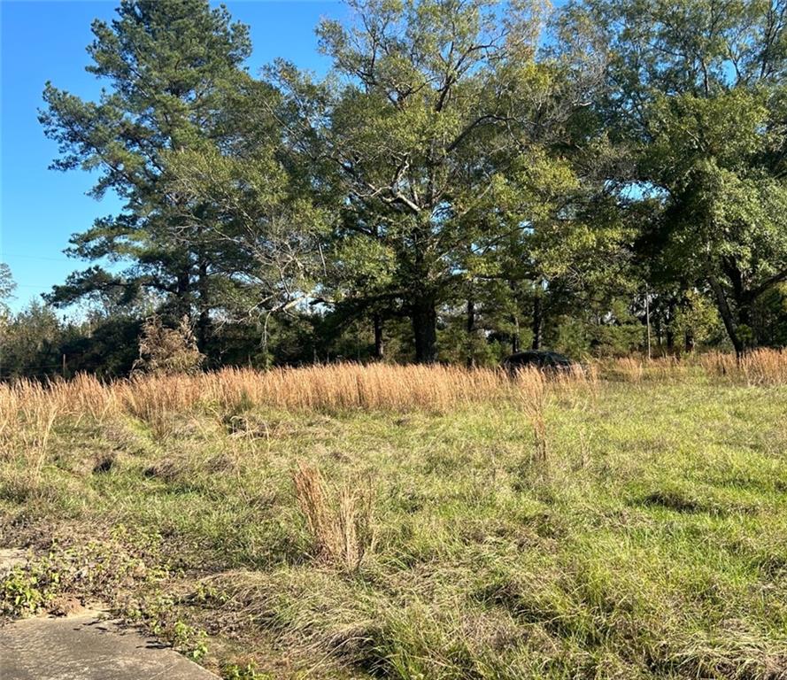 0 North Goodwill Street Goldonna, LA 71031 - Photo 3 of 5