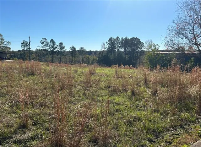 $40,000 | 0 North Goodwill Street, Goldonna, LA 71031
