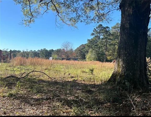 $40,000 | 0 North Goodwill Street, Goldonna, LA 71031