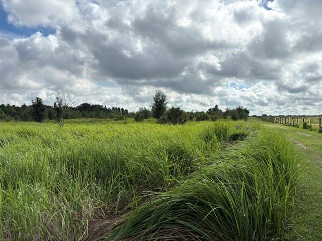 Walter Hunter Road Lithia, FL 33547 - Photo 3 of 9 Gallery Image 3