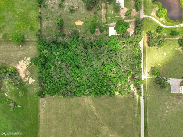 a view of a yard