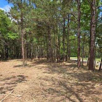 a fire hydrant in the middle of a field