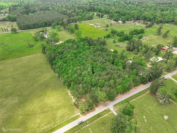 a view of a green yard with large trees
