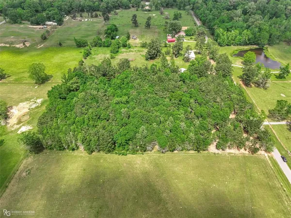 a view of a big yard with plants and large trees