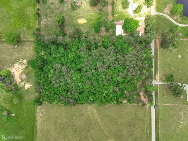 a view of a garden