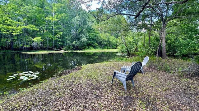 a view of a swimming pool and trees in the background