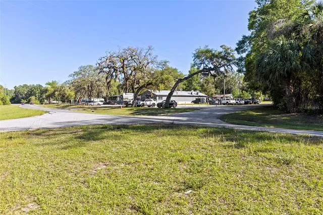 a plant that is in a garden