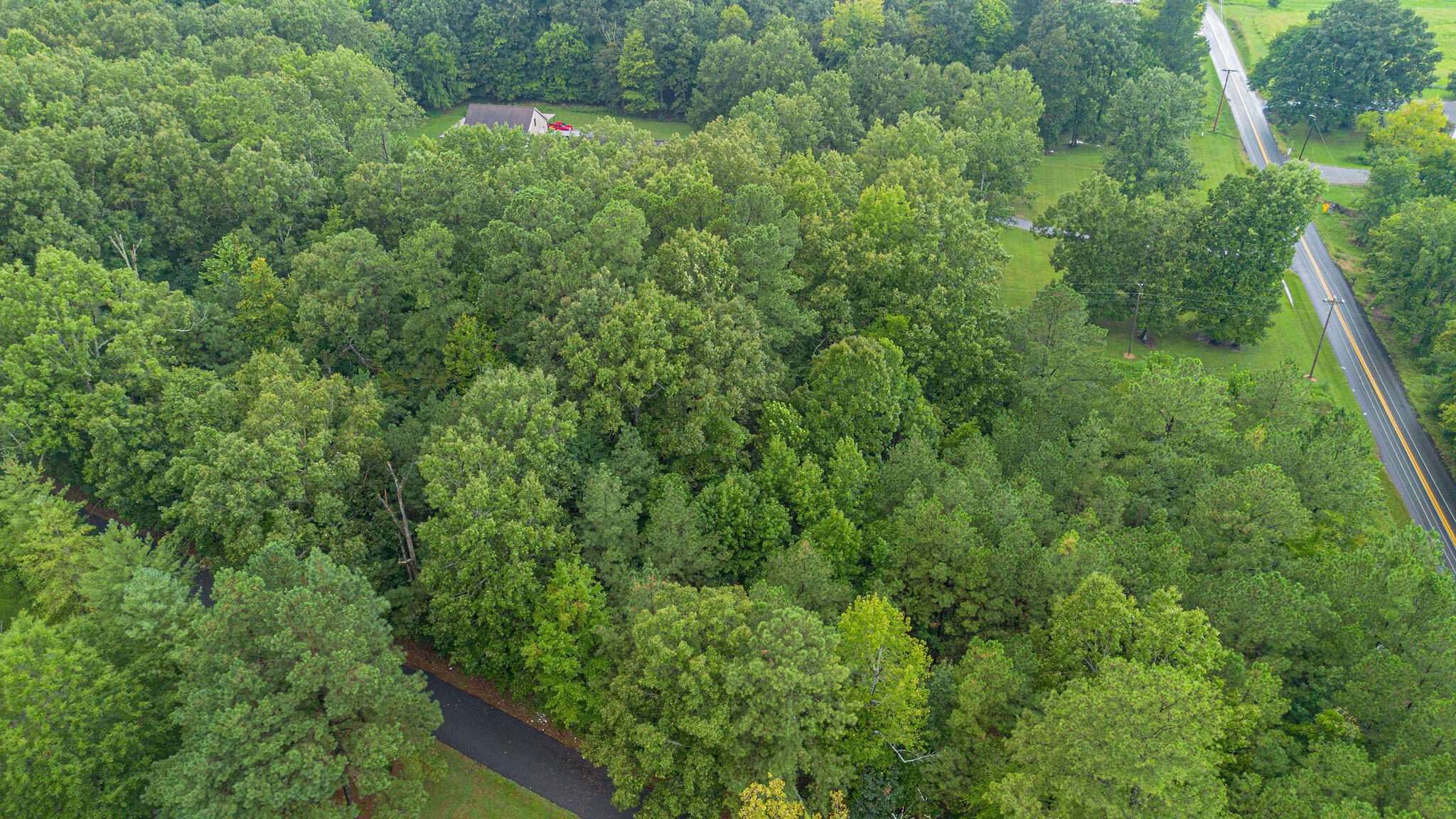 0 Oak Level Road Benton, KY 42025 - Photo 8 of 9 8