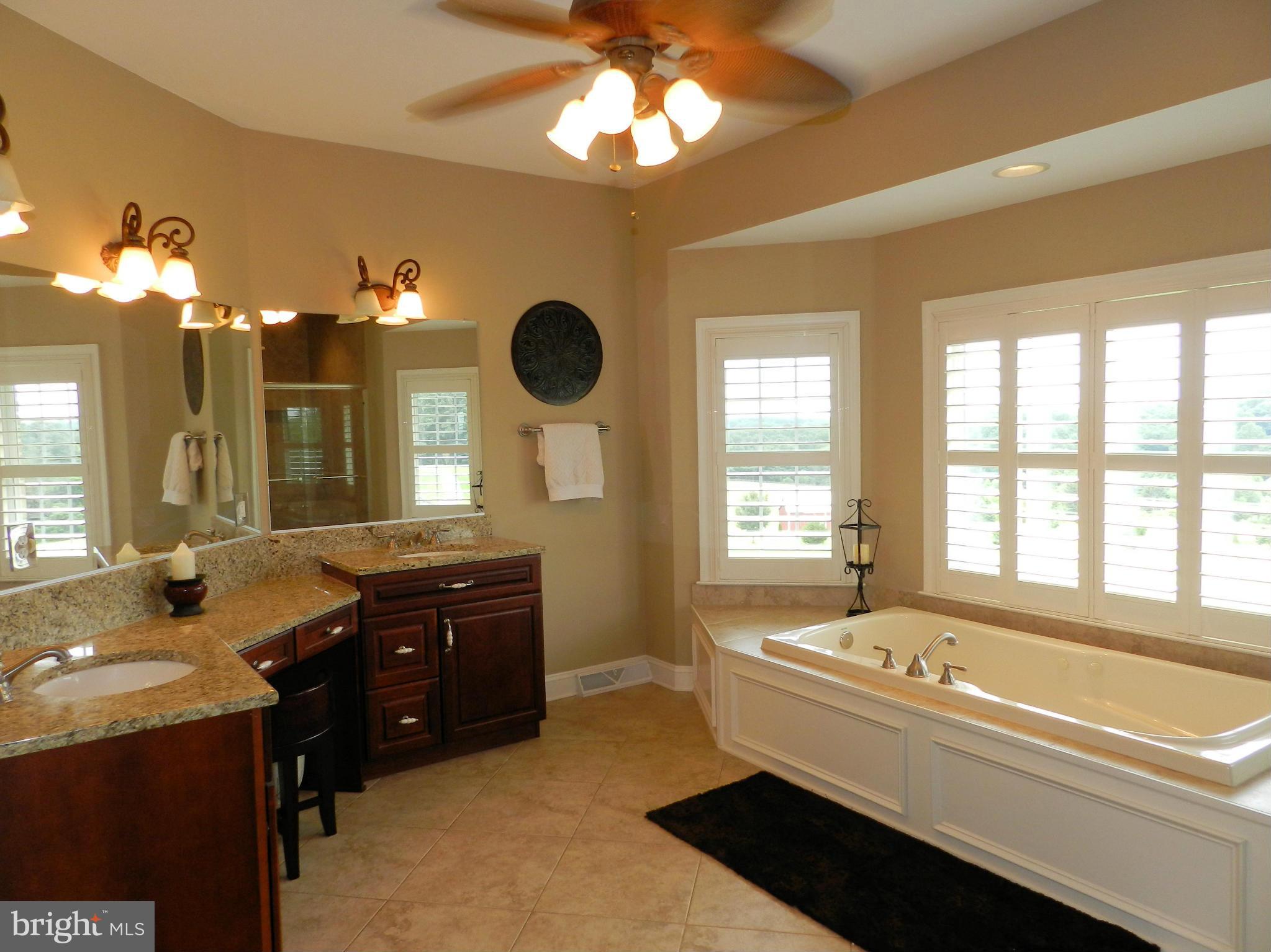 3808 Houcks Road Monkton, MD 21111 - Photo 22 of 30 a spacious bathroom with a tub double sink and a large mirror