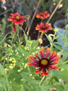 $749,000 | 8403 West Gulf Boulevard, Treasure Island, FL 33706