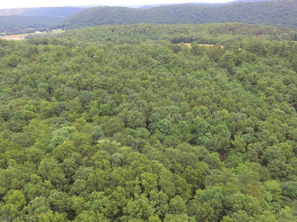 0 Raystown Road Hopewell, PA 16650 - Photo 5 of 51