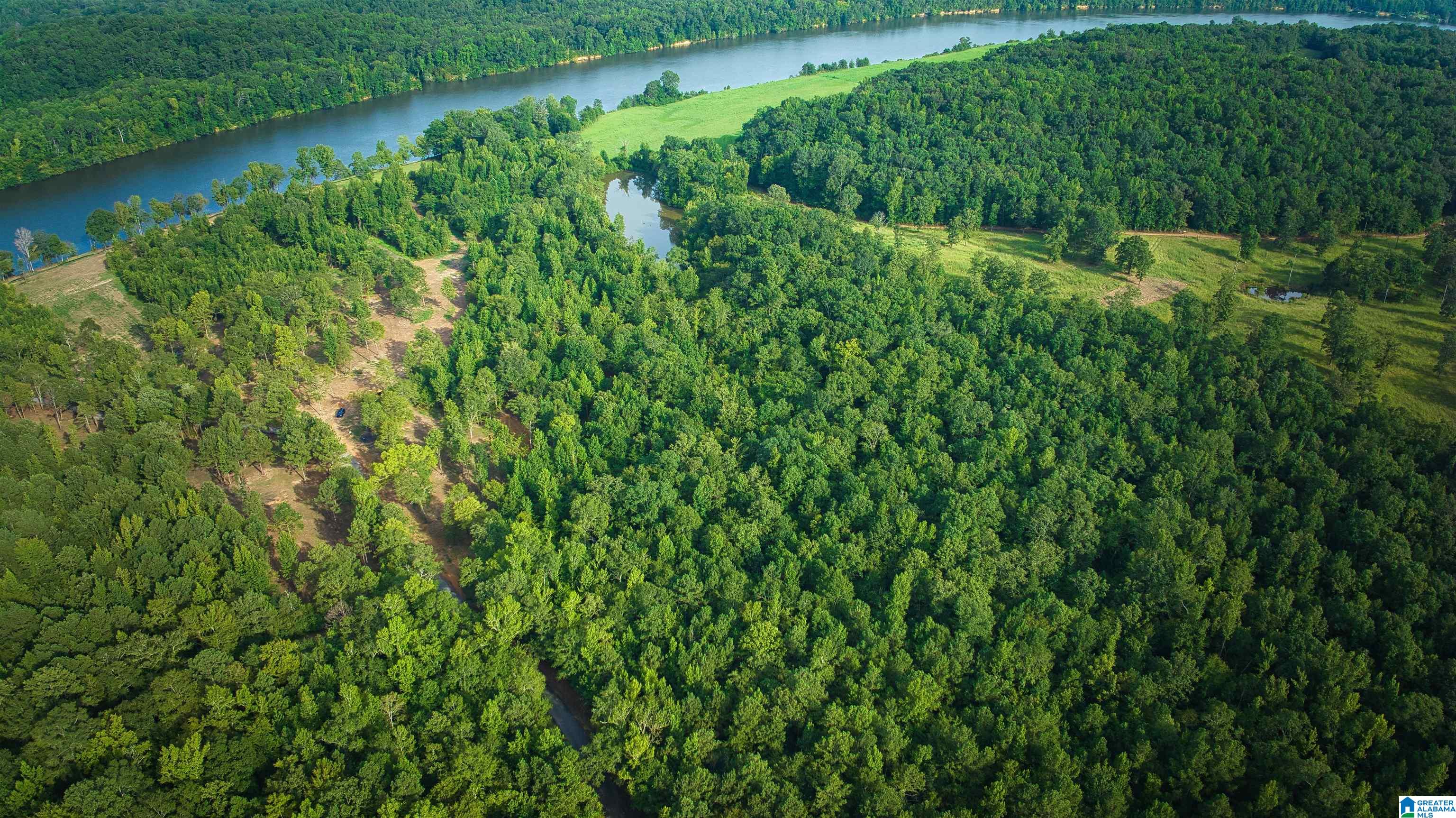 Lot 19 Wester Drive, Unit LOT 19 Ragland, AL 35131 - Photo 61 of 71