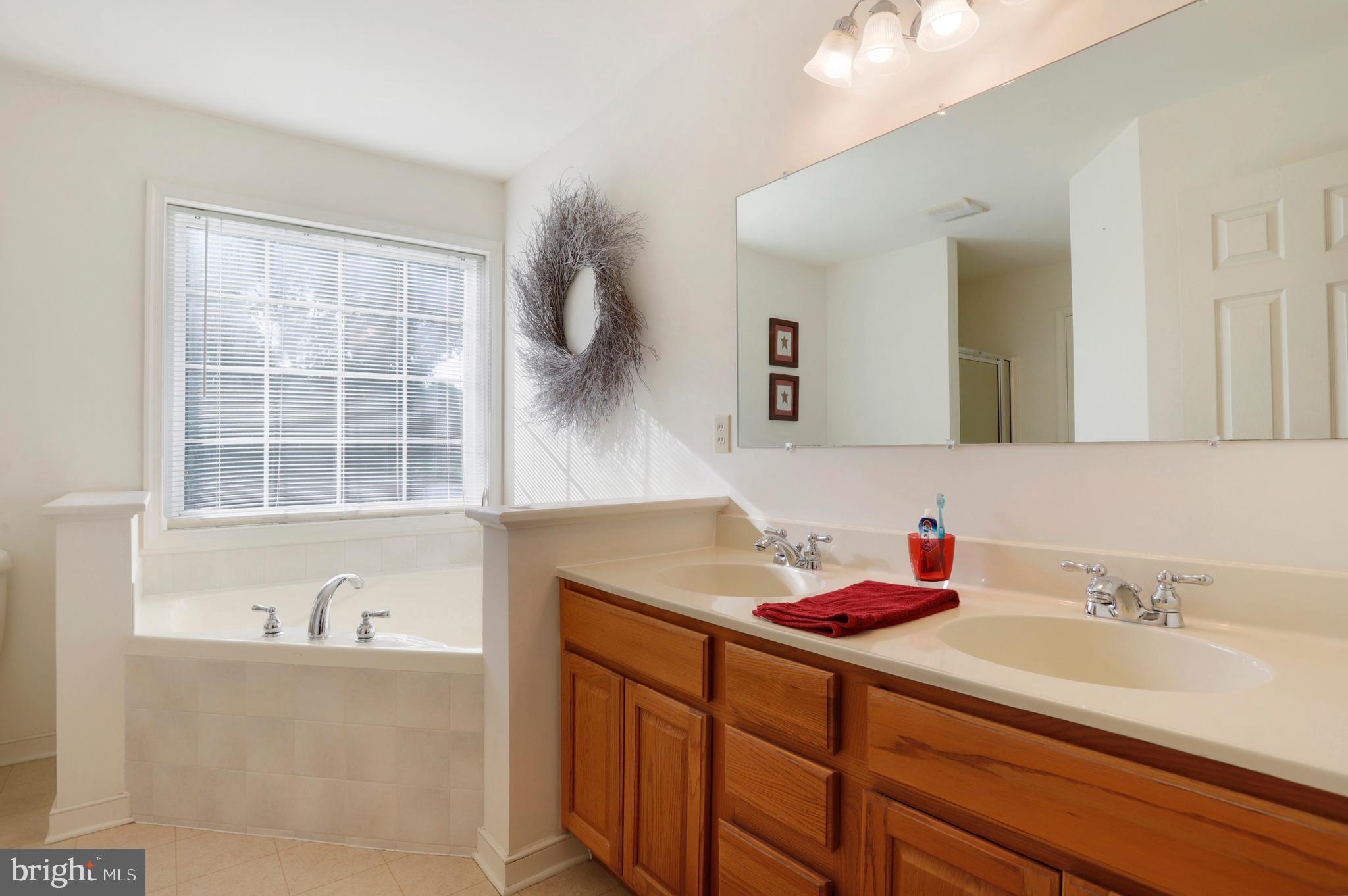 9136 Jordan Road Fairplay, MD 21733 - Photo 18 of 42 Master Bathroom