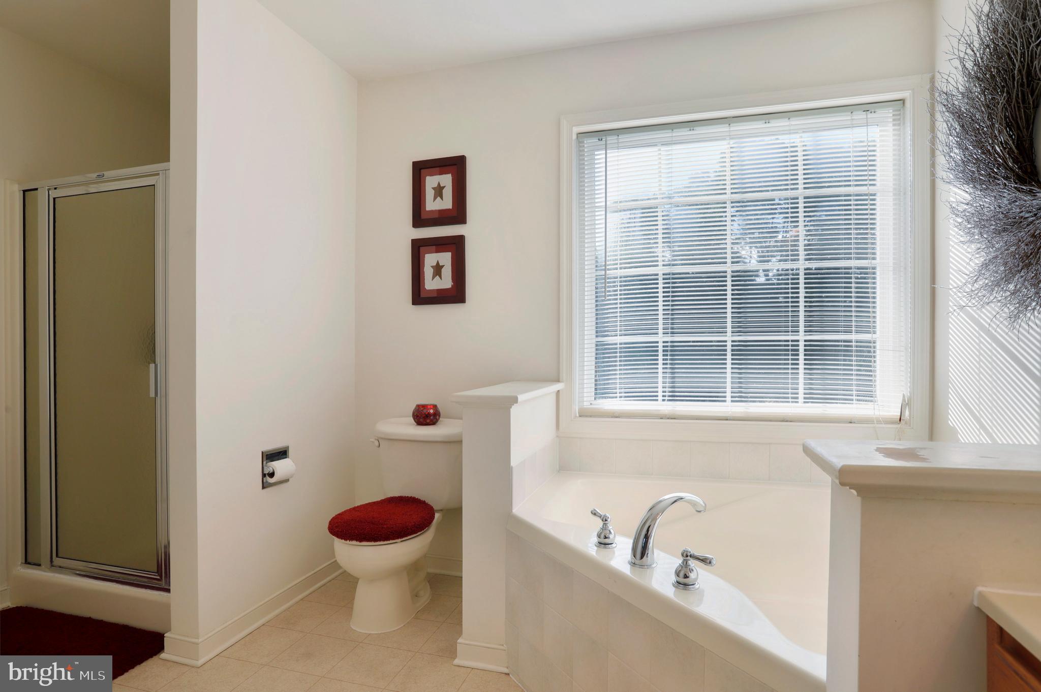 9136 Jordan Road Fairplay, MD 21733 - Photo 19 of 42 Master Bathroom