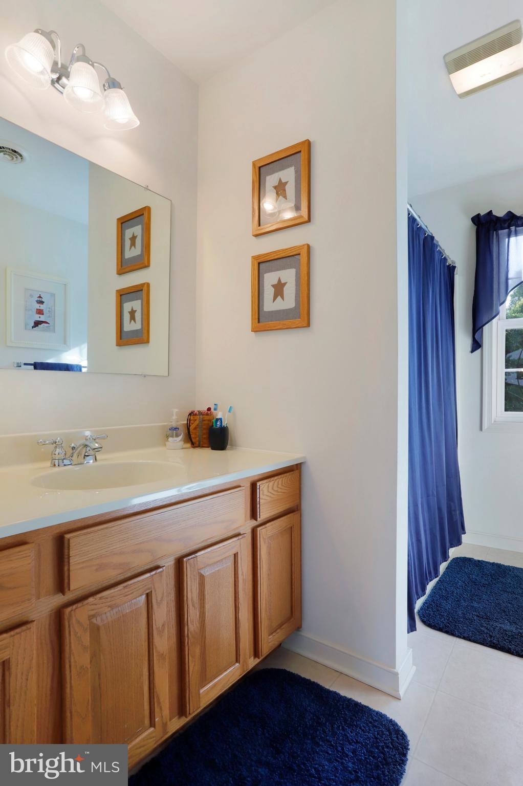 9136 Jordan Road Fairplay, MD 21733 - Photo 22 of 42 Bathroom