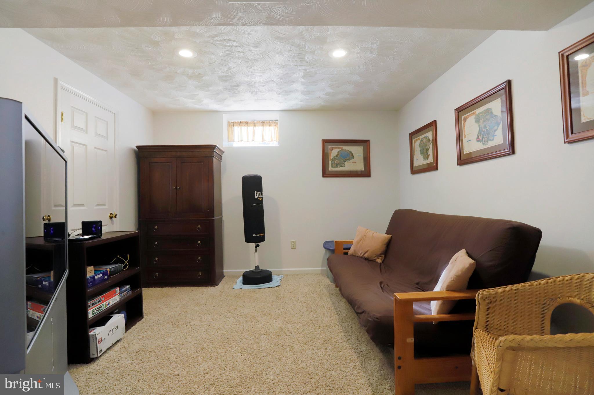 9136 Jordan Road Fairplay, MD 21733 - Photo 29 of 42 Lower Level