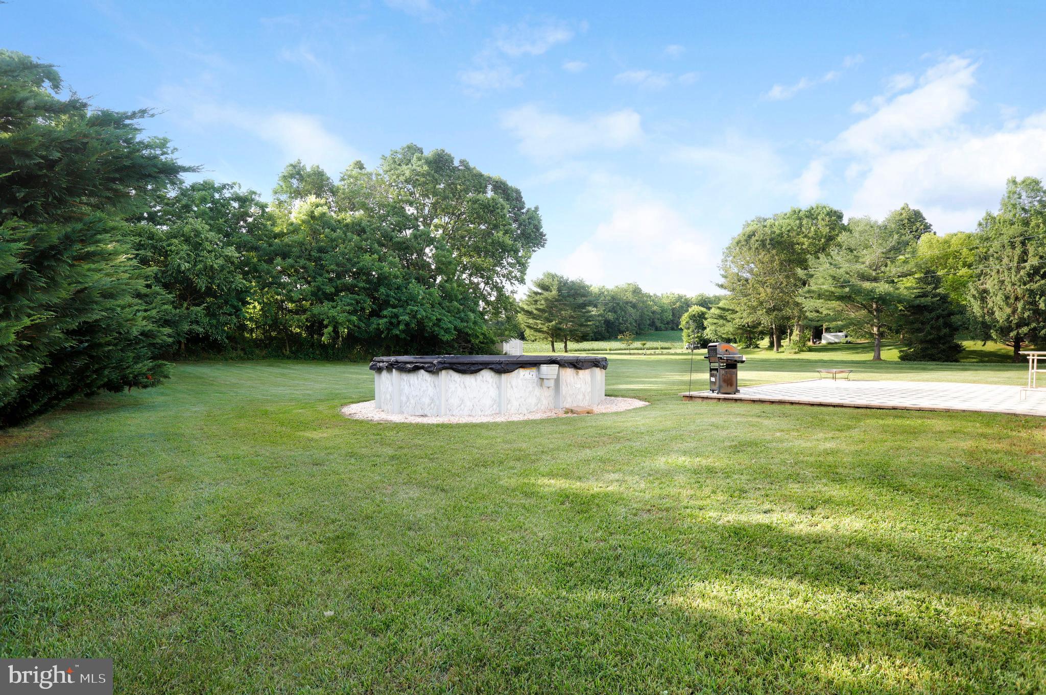 9136 Jordan Road Fairplay, MD 21733 - Photo 33 of 42 Back Yard Pool