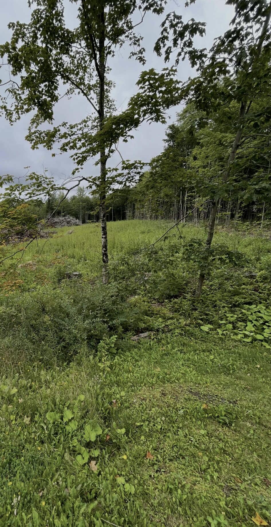 3 Ladd Road Sebec, ME 04481 - Photo 8 of 12