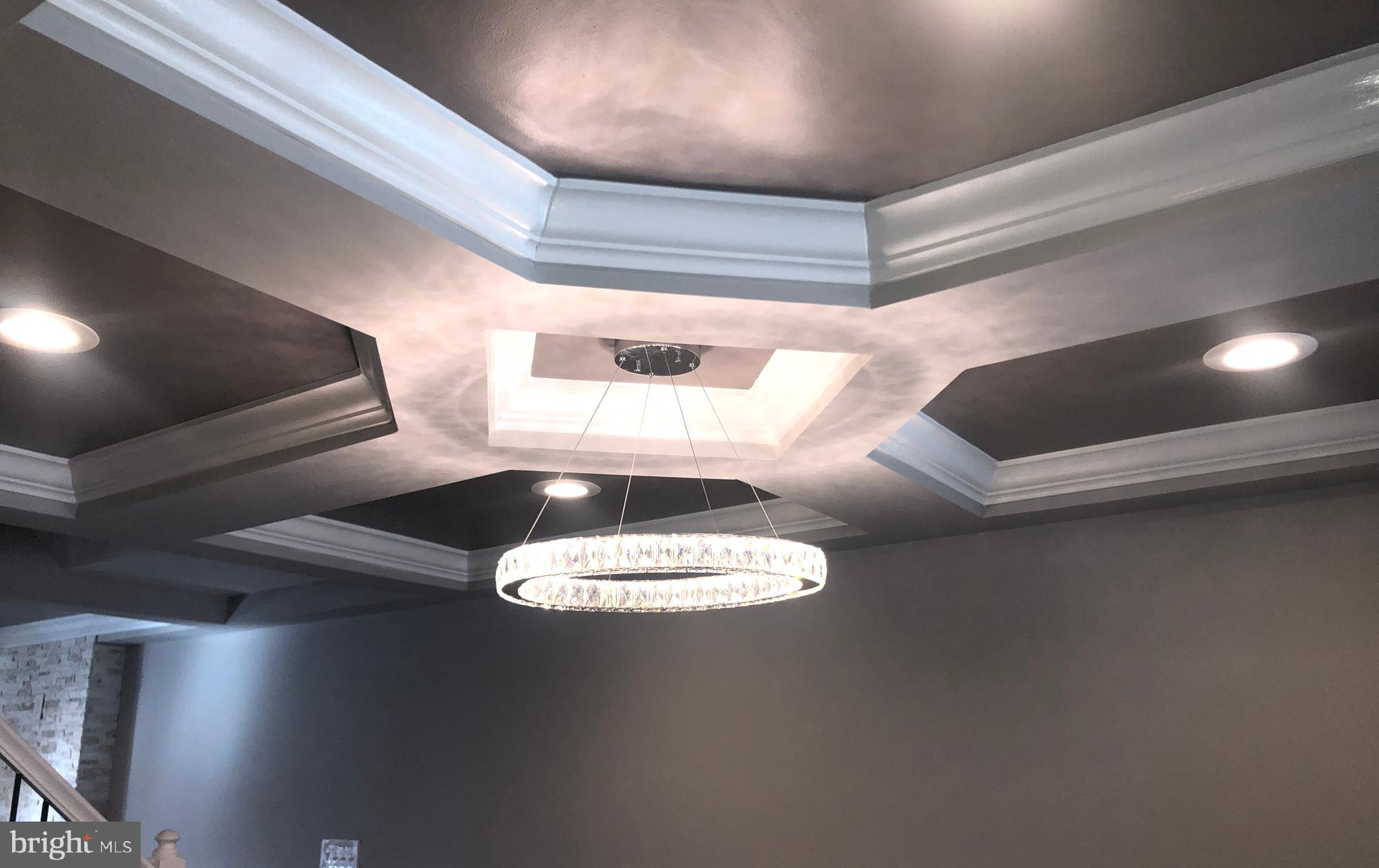 5489 Bucknell Road Baltimore, MD 21206 - Photo 10 of 26 Coffered Ceilings