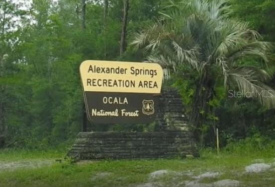 19040 Ravenswood Road Altoona, FL 32702 - Photo 19 of 21