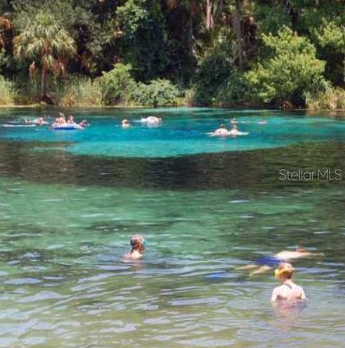 19040 Ravenswood Road Altoona, FL 32702 - Photo 21 of 21