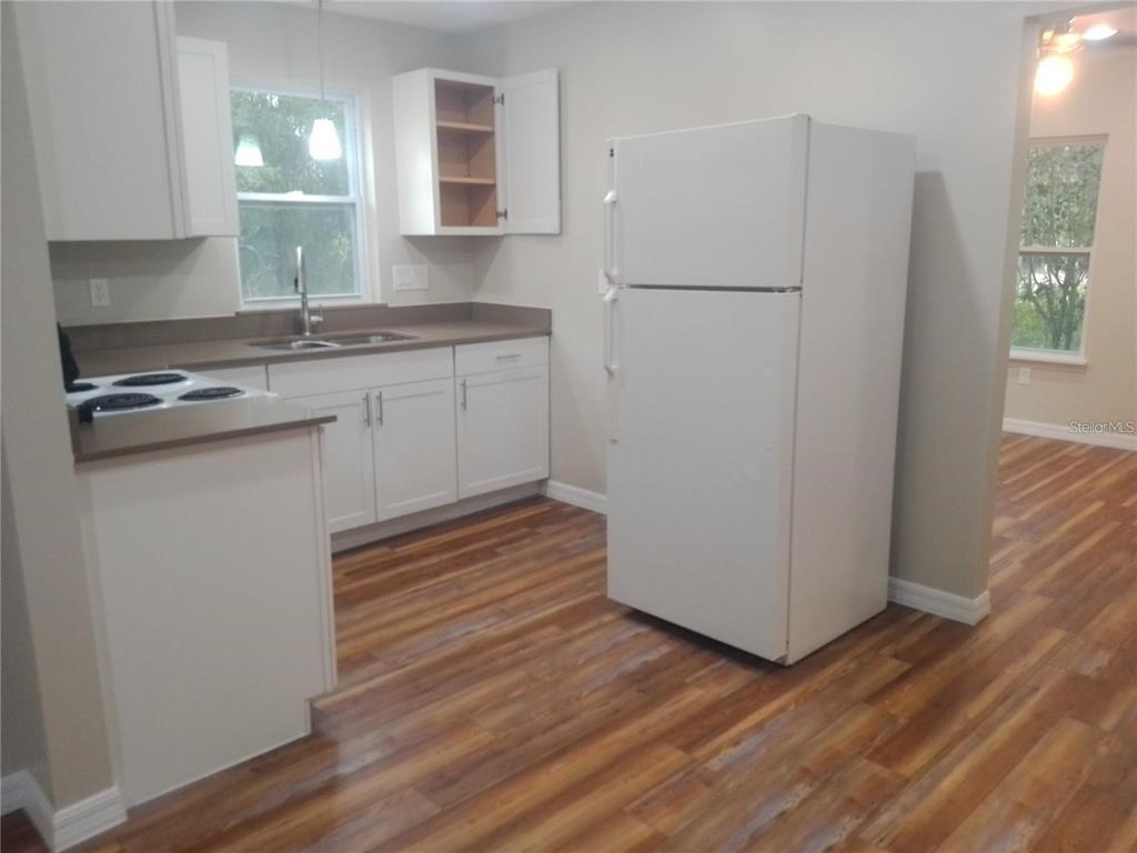 19040 Ravenswood Road Altoona, FL 32702 - Photo 4 of 21