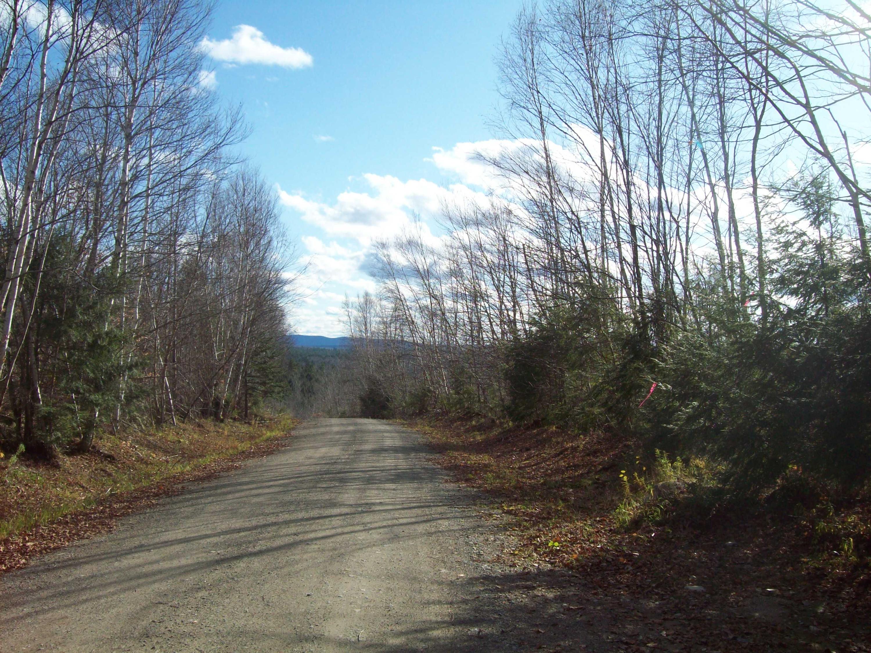 1310 Upper Dobsis Road Lakeville, ME 04487 - Photo 28 of 28 100_0602