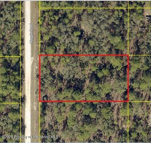 16026 Magpie Road Brooksville, FL 34614 - Photo 2 of 5