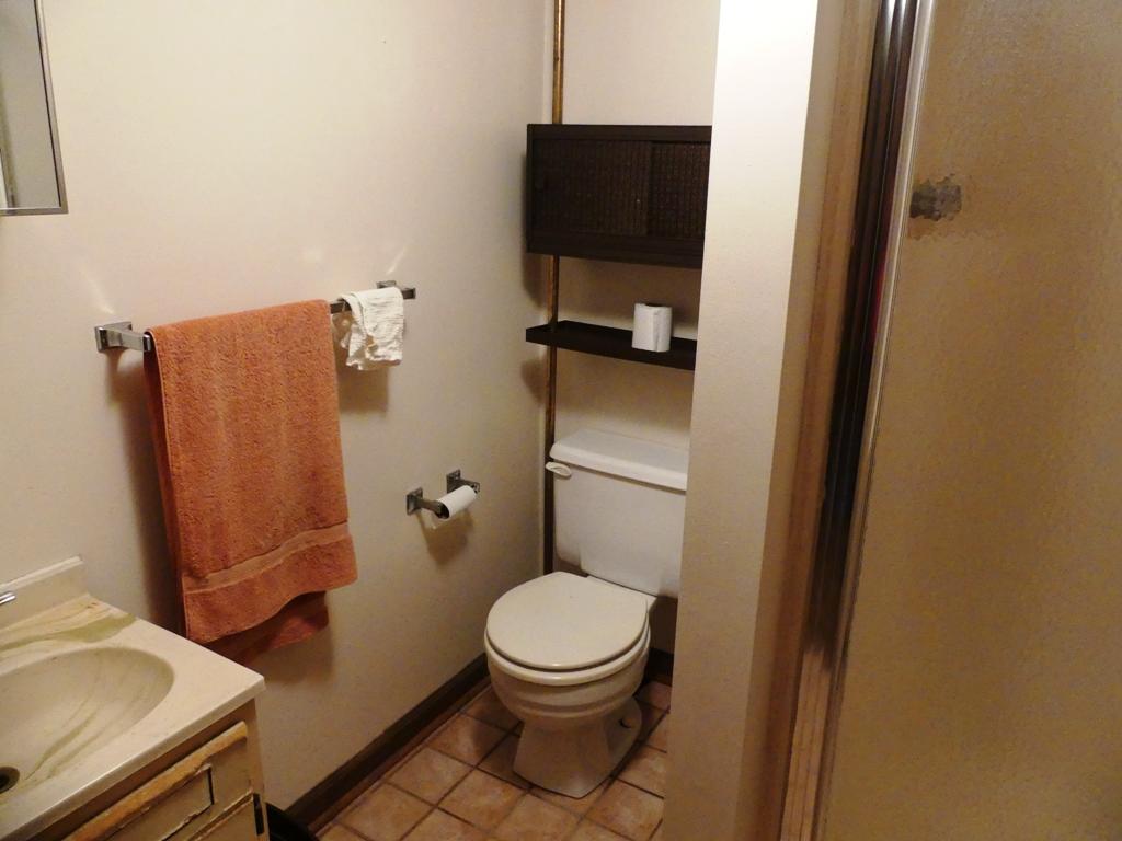 5560 Elamsville Road Stuart, VA 24171 - Photo 30 of 80 a bathroom with a toilet and a sink