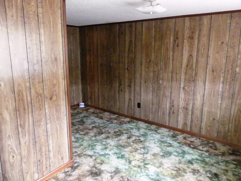 5560 Elamsville Road Stuart, VA 24171 - Photo 33 of 80 a view of a wooden wall with curtain