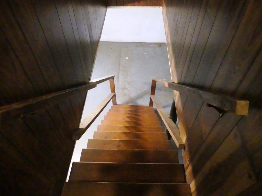 5560 Elamsville Road Stuart, VA 24171 - Photo 35 of 80 STAIRS TO BASEMENT